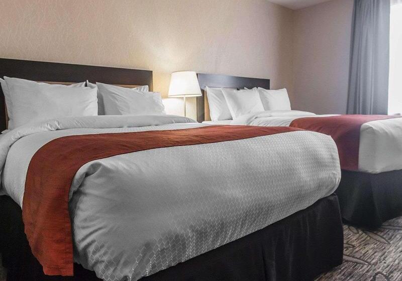 اتاق لوکس, Radisson Sao Paulo Paulista