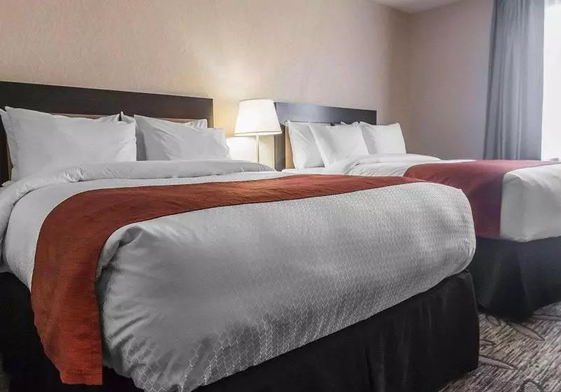 Deluxe-huone, Radisson Sao Paulo Paulista