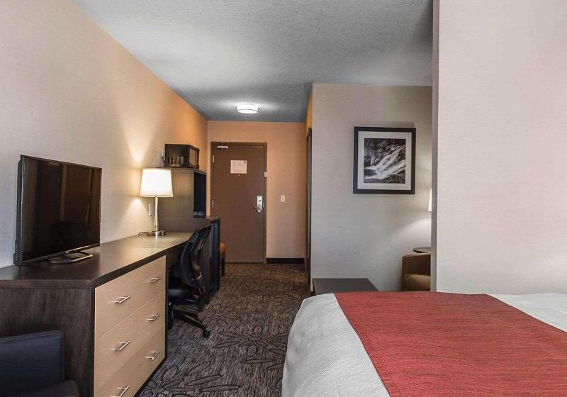 اتاق لوکس, Radisson Sao Paulo Paulista