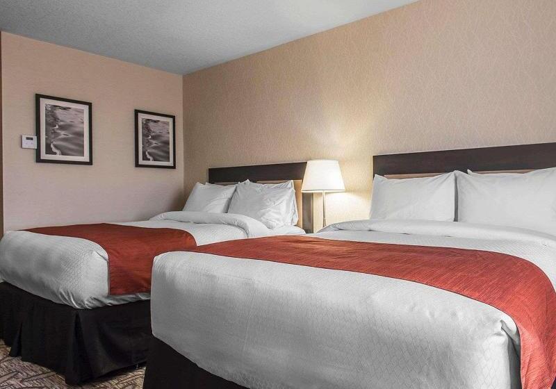 اتاق لوکس, Radisson Sao Paulo Paulista