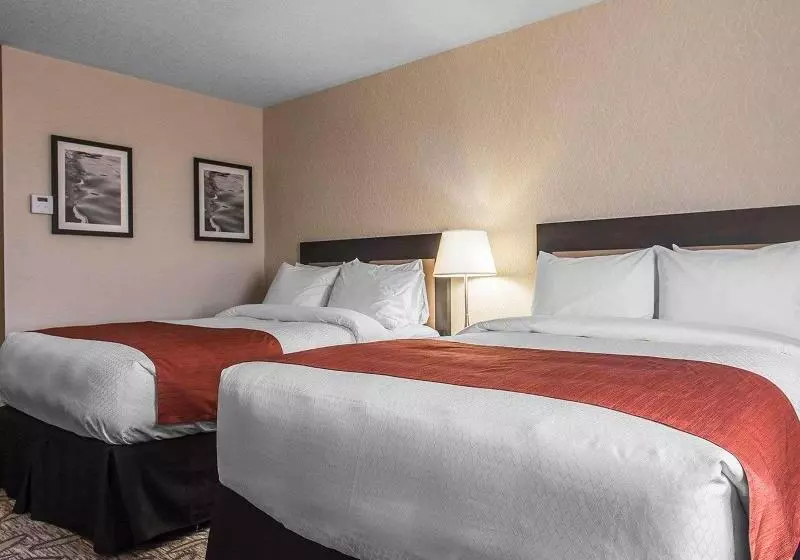 Deluxe-huone, Radisson Sao Paulo Paulista