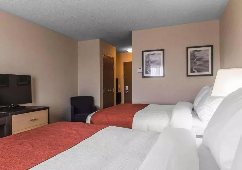 Deluxe-huone, Radisson Sao Paulo Paulista