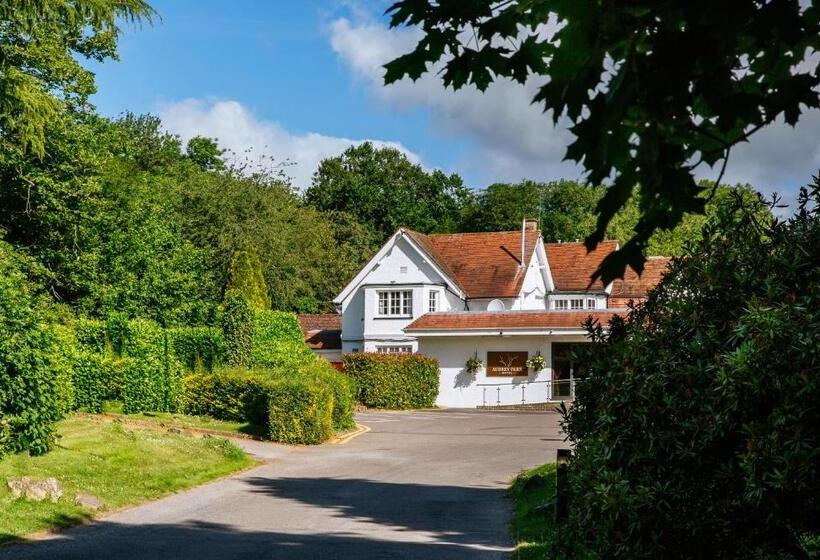 Номер Стандарт, Aubrey Park