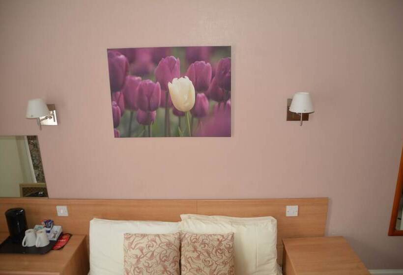 غرفة قياسية, New Wilmington