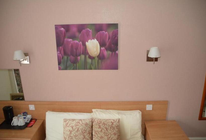 غرفة قياسية, New Wilmington