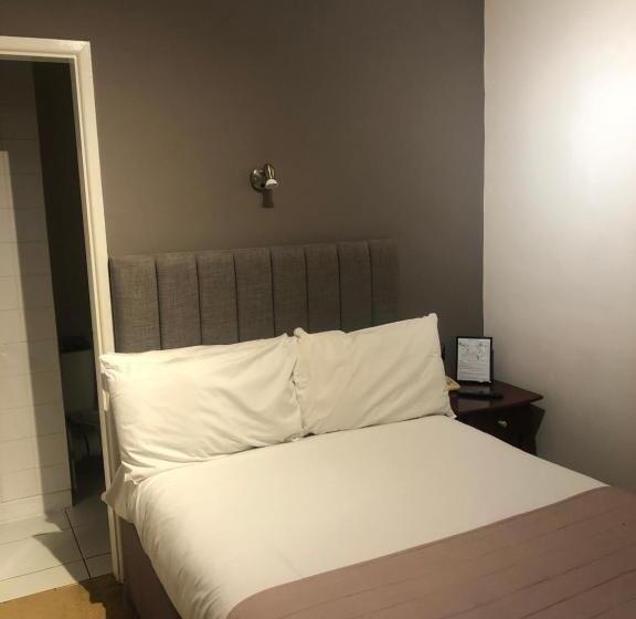 기본룸, The Rugby