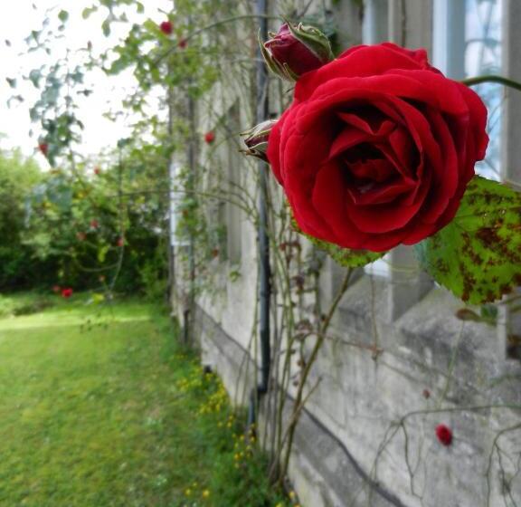 スタンダードルーム, Schoolhouse Restaurant And