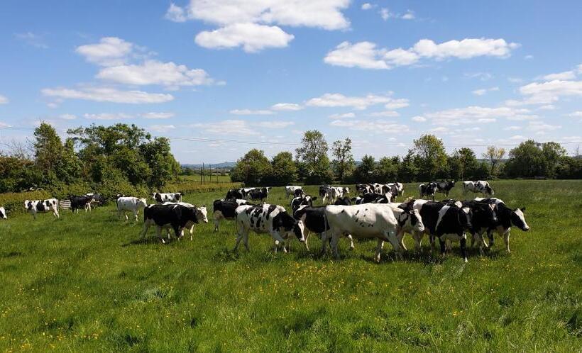 スタンダードルーム, Schoolhouse Restaurant And