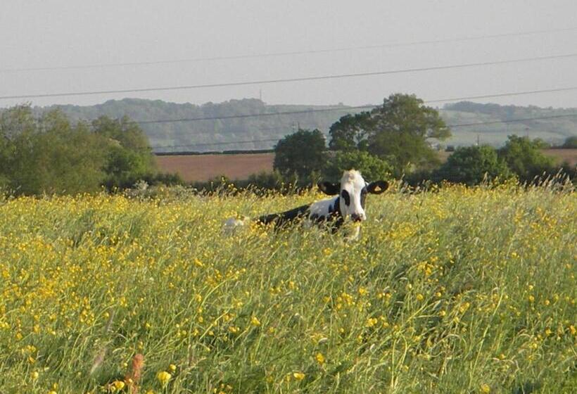 スーペリアシングルルーム, Schoolhouse Restaurant And