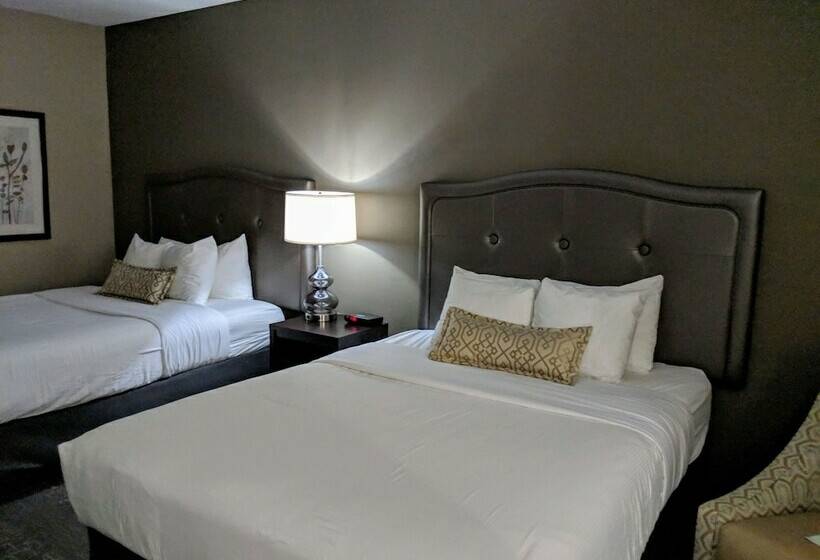 标准间, Best Western Swan Castle Inn