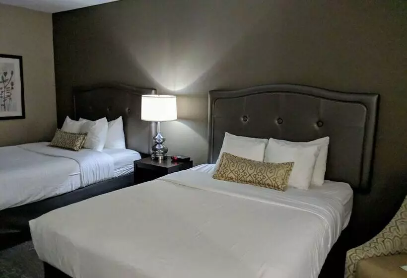 スタンダードルーム, Best Western Swan Castle Inn