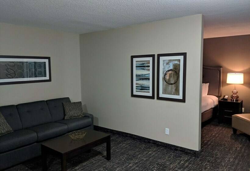 غرفة قياسية, Best Western Swan Castle Inn