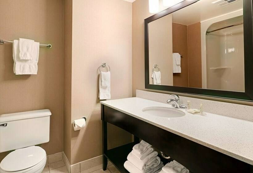 غرفة قياسية, Best Western Swan Castle Inn