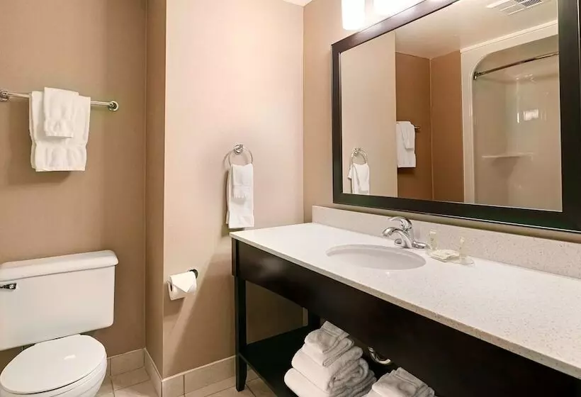 スイート, Best Western Swan Castle Inn