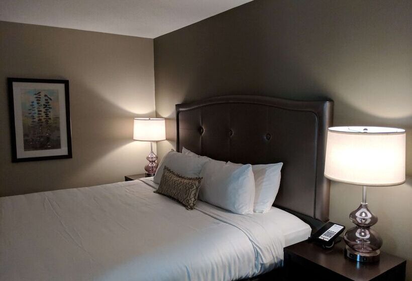 套房, Best Western Swan Castle Inn