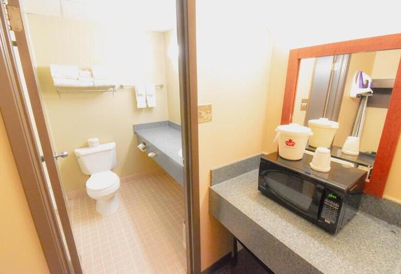 غرفة قياسية, Canad Inns Destination Centre Garden City