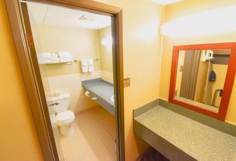 اتاق لوکس, Canad Inns Destination Centre Garden City