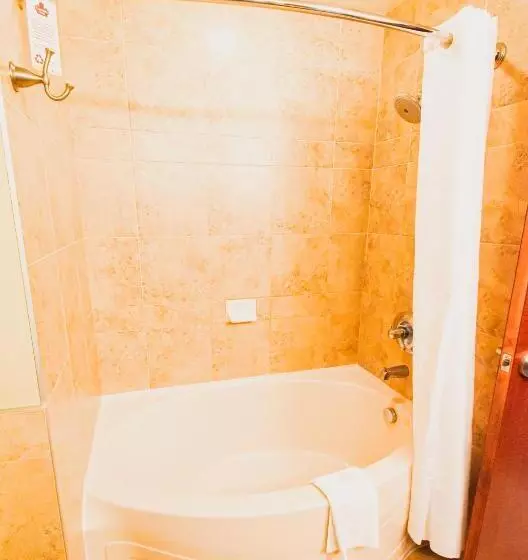 اتاق لوکس با تخت بزرگ, Canad Inns Destination Centre Garden City