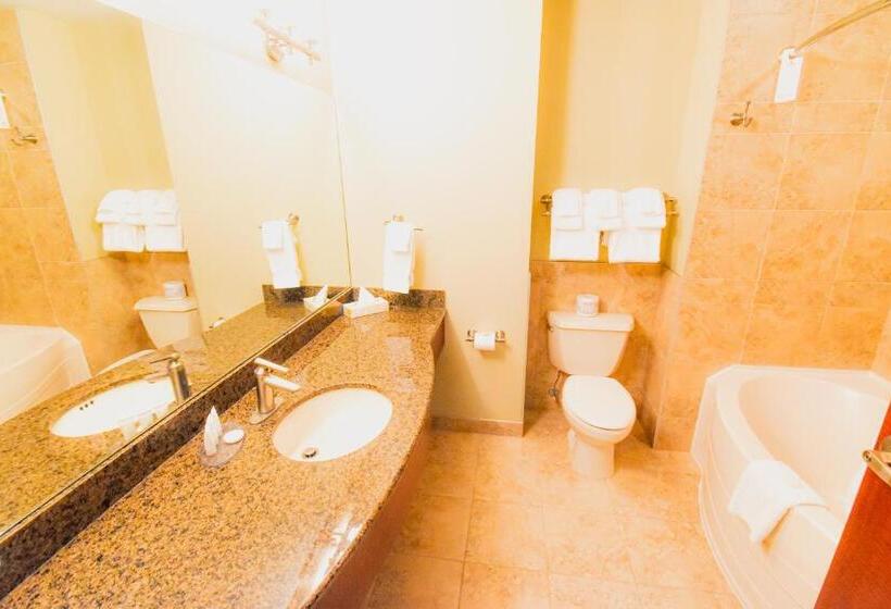 חדר דחוקס עם מיטת קינג, Canad Inns Destination Centre Garden City