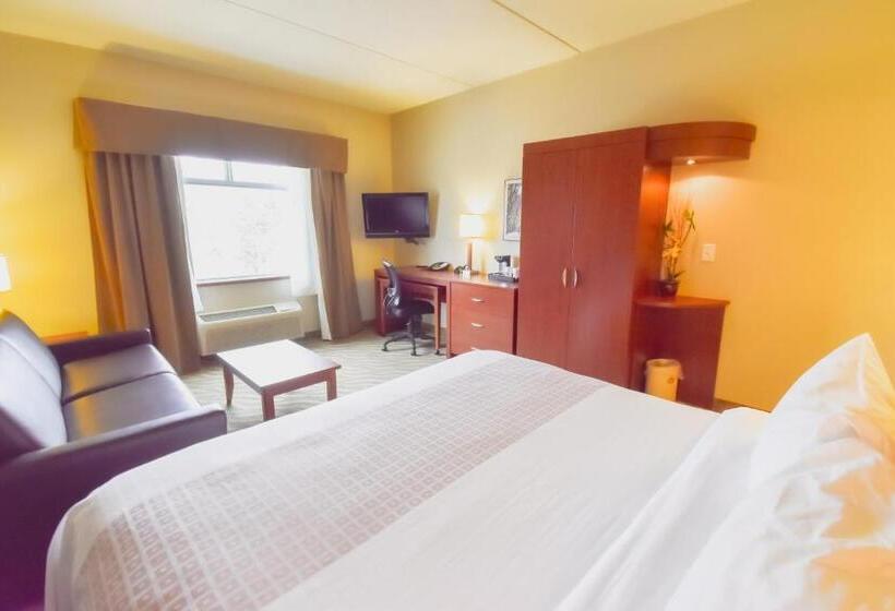 キングサイズベッドのデラックスルーム, Canad Inns Destination Centre Garden City