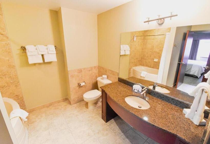 סוויטה עם ג'קוזי, Canad Inns Destination Centre Garden City