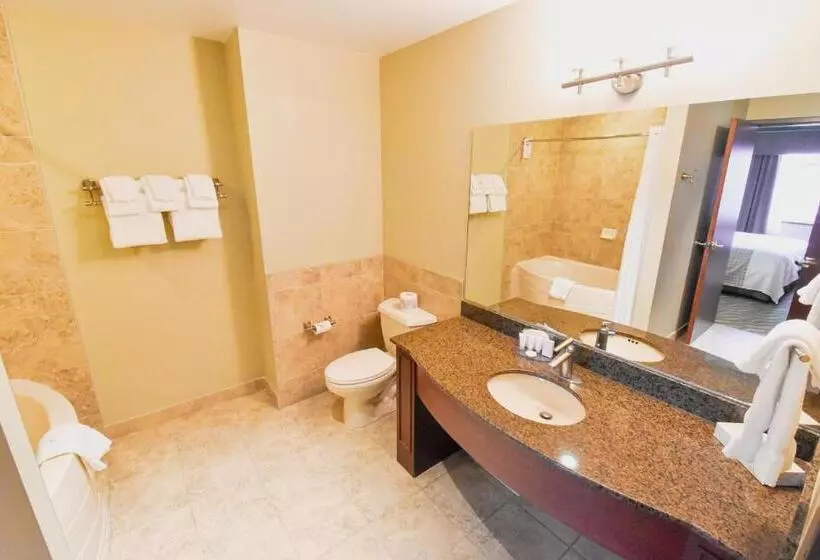 سوئیت با وان آب گرم, Canad Inns Destination Centre Garden City