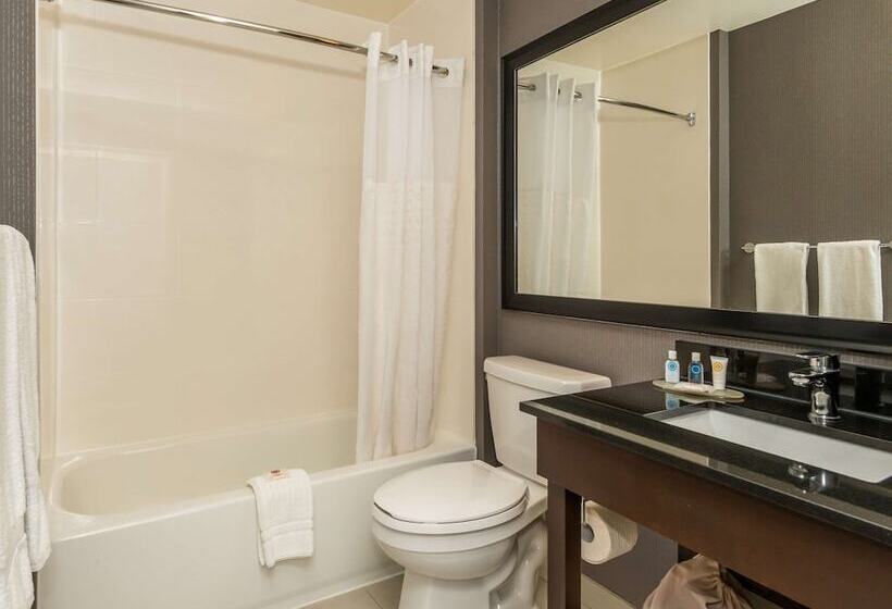 غرفه قياسيه سريرين مزدوجين, Comfort Inn West