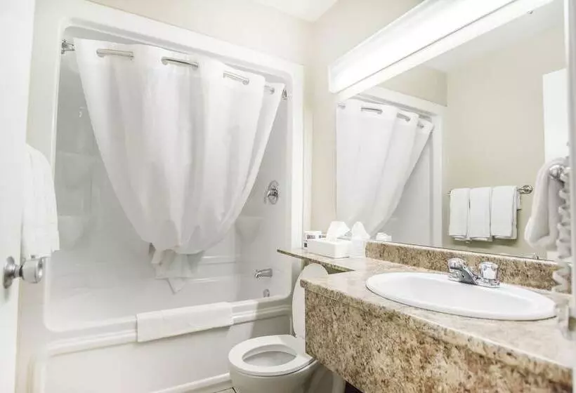 ２ダブルベッドのスタンダードルーム, Econo Lodge Miramichi