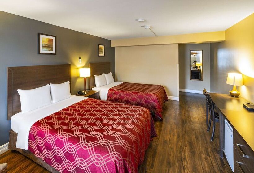 غرفه قياسيه سريرين مزدوجين, Econo Lodge Miramichi