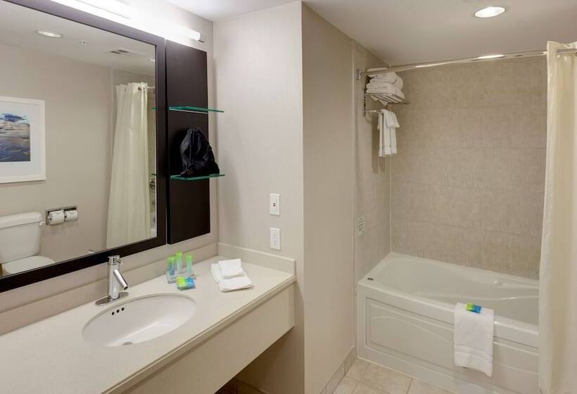 חדר סטנדרט מיטה זוגית עם נוף, Radisson Hotel & Suites Fallsview