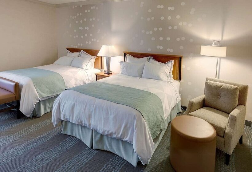 带2个双人床的标准工作室, Radisson Hotel & Suites Fallsview