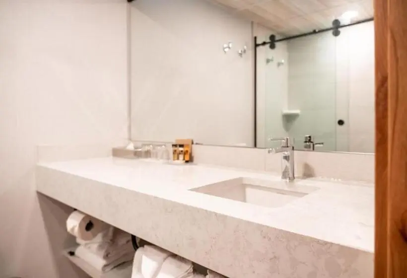 اتاق سوپریور با تخت بزرگ, The Dorothy Motel