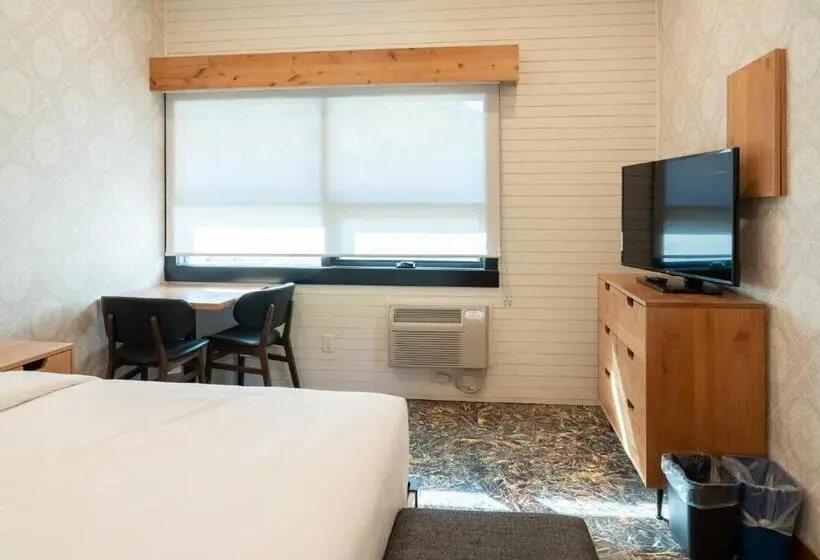 اتاق سوپریور با تخت بزرگ, The Dorothy Motel