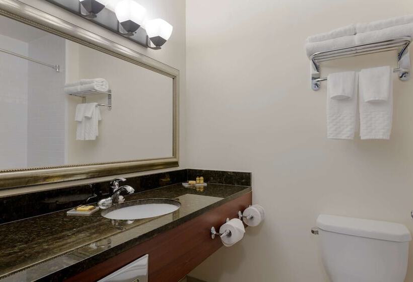 חדר סטנדרט שתי מיטות זוגיות, Best Western Plus Chocolate Lake Hotel   Halifax