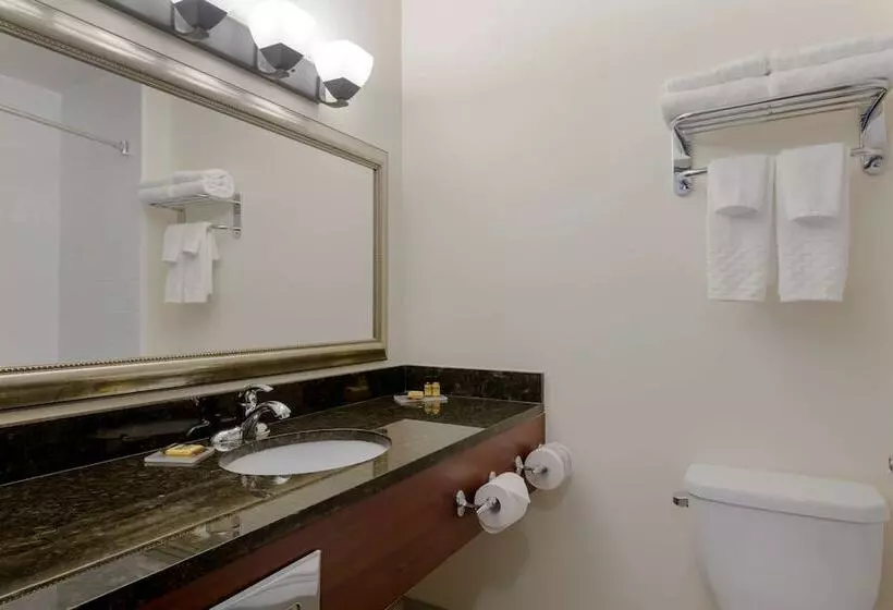 اتاق استاندارد با 2 تخت دوبل, Best Western Plus Chocolate Lake Hotel   Halifax