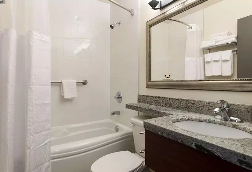 اتاق استاندارد با 2 تخت دوبل, Best Western Plus Chocolate Lake Hotel   Halifax