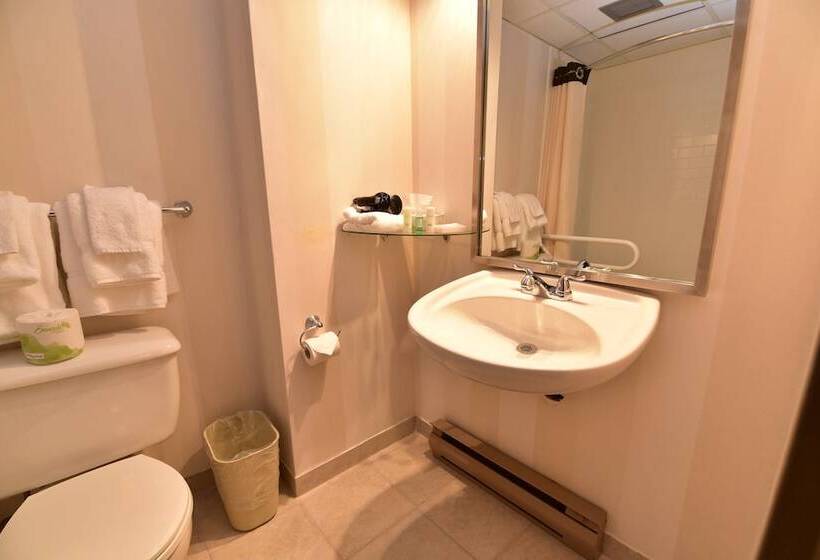 غرفه قياسيه سريرين مزدوجين, Clarion Hotel & Conference Centre