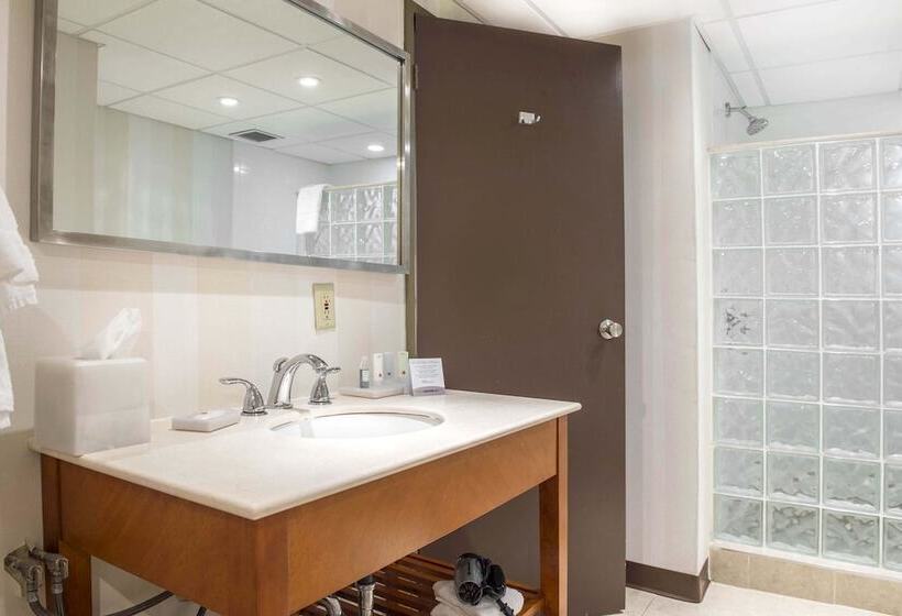 غرفه قياسيه سريرين مزدوجين, Clarion Hotel & Conference Centre