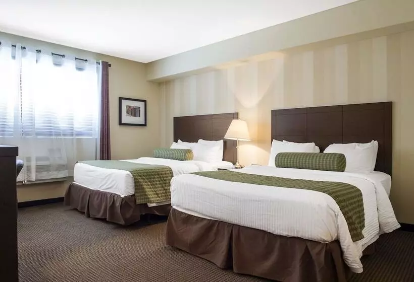 ２ダブルベッドのスタンダードルーム, Clarion Hotel & Conference Centre