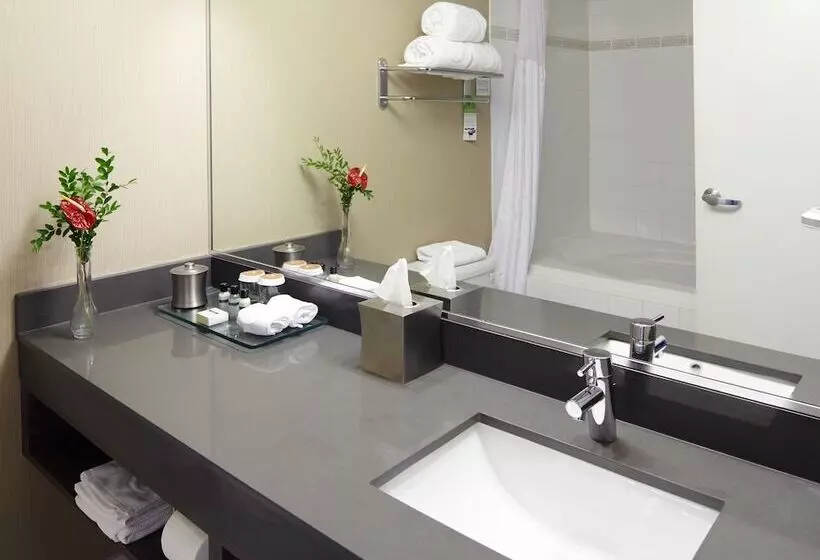 デラックスルーム, Executive Plaza Hotel & Conference Centre, Metro Vancouver
