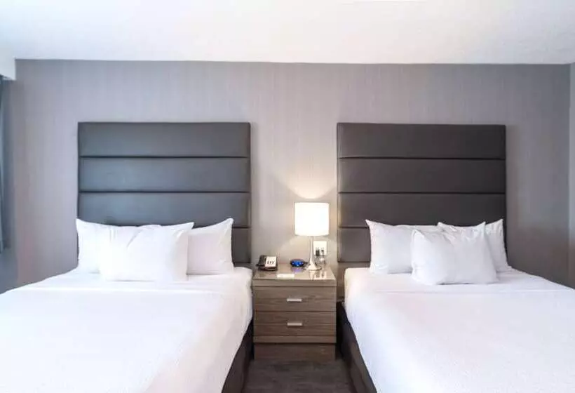 ２ダブルベッドのスタンダードルーム, Sandman Hotel Edmonton West