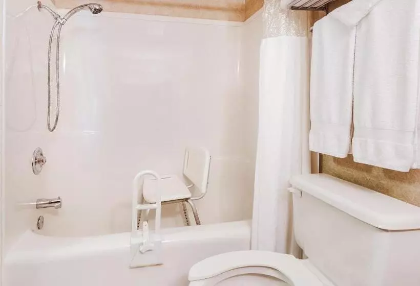 Standard Værelse Tilpasset til Handicappede, Stony Plain Inn & Suites