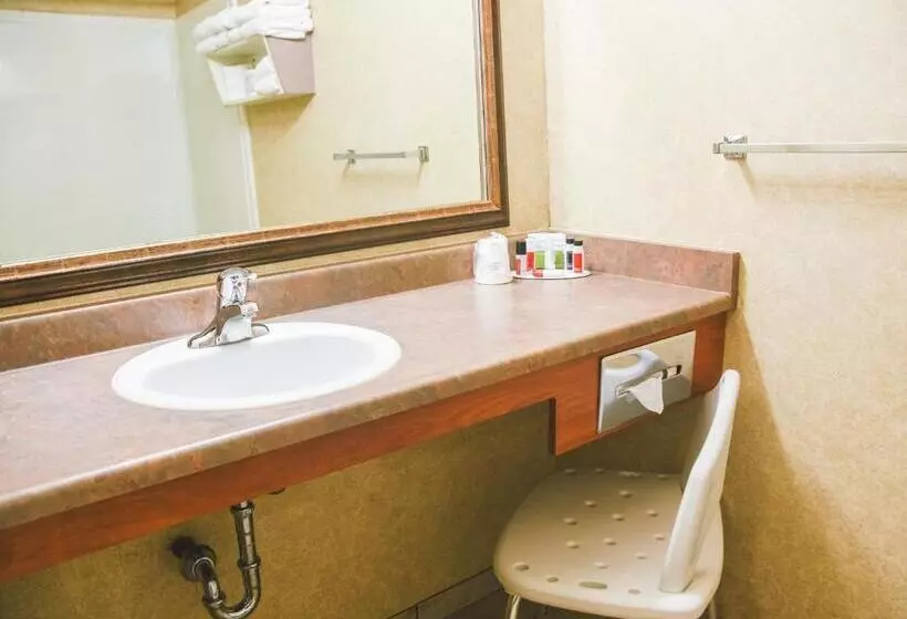 Standard Værelse Tilpasset til Handicappede, Stony Plain Inn & Suites