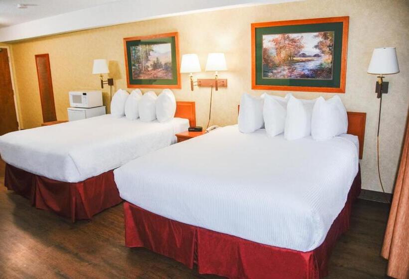 Engelliler için Standart Oda, Stony Plain Inn & Suites