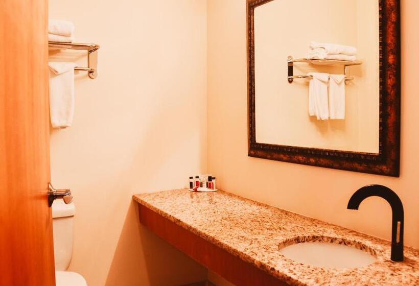 Deluxe Suite King Bed, Stony Plain Inn & Suites