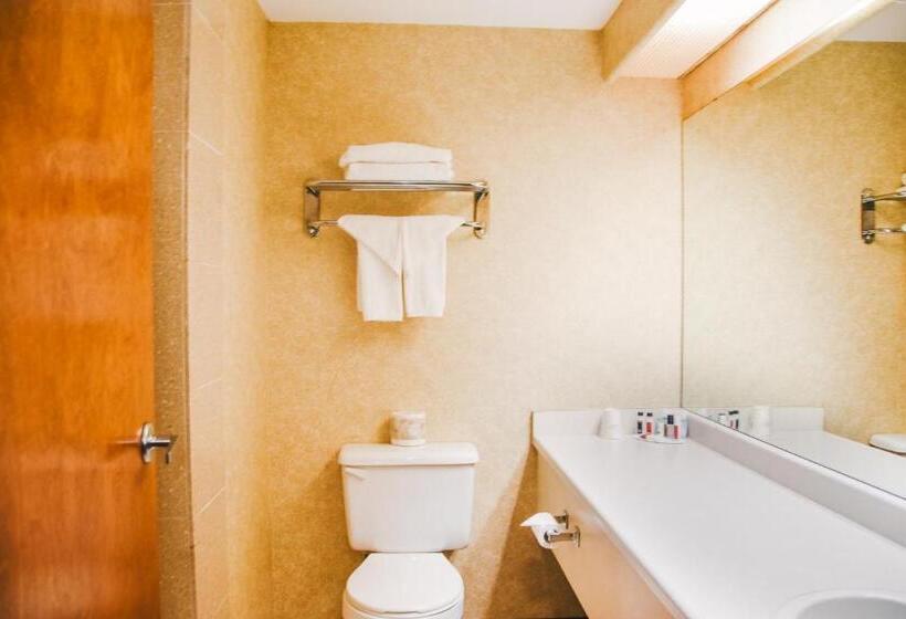 Люкс Кровать Кинг, Stony Plain Inn & Suites