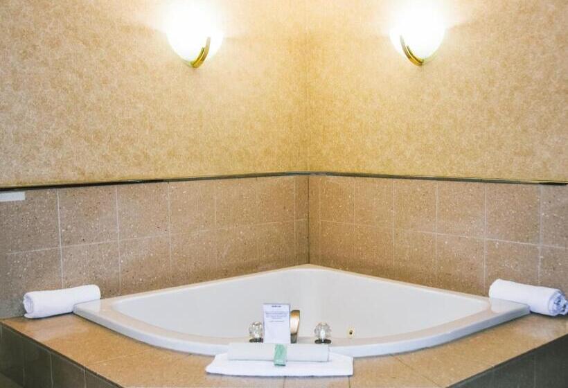 Büyük Çift Kişilik Yataklı Süit, Stony Plain Inn & Suites