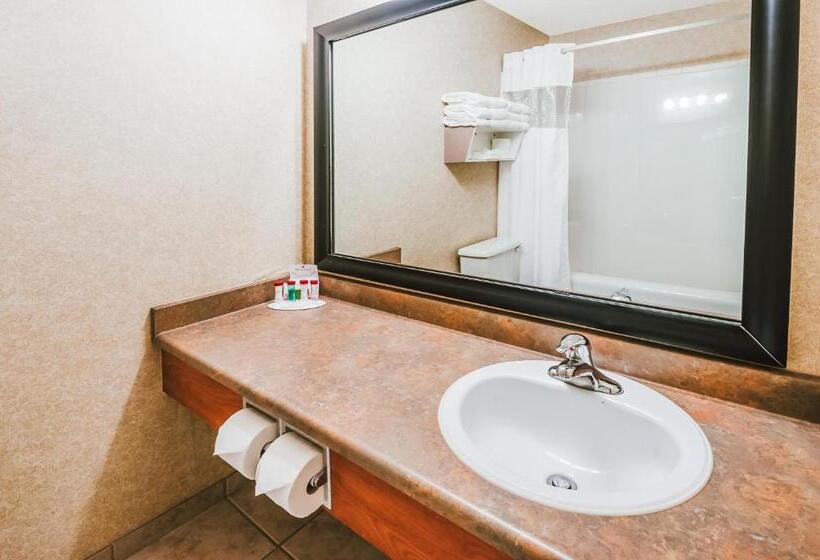 Standard Szoba, Stony Plain Inn & Suites