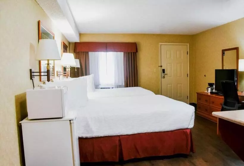 Standard Værelse, Stony Plain Inn & Suites