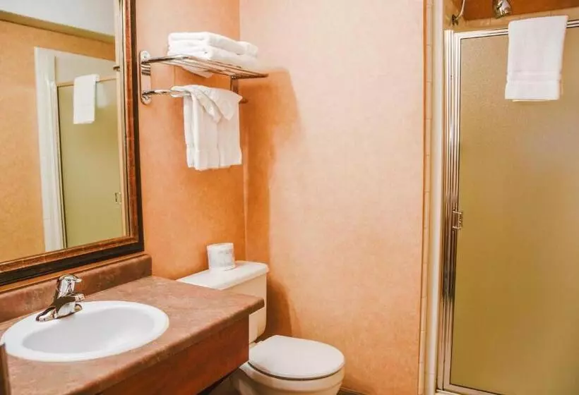 Standard Studio Kingsize Seng, Stony Plain Inn & Suites